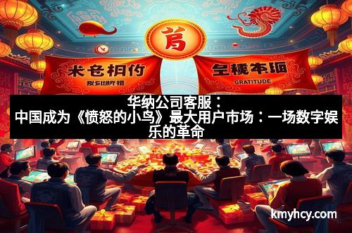 华纳公司客服：中国成为《愤怒的小鸟》最大用户市场：一场数字娱乐的革命